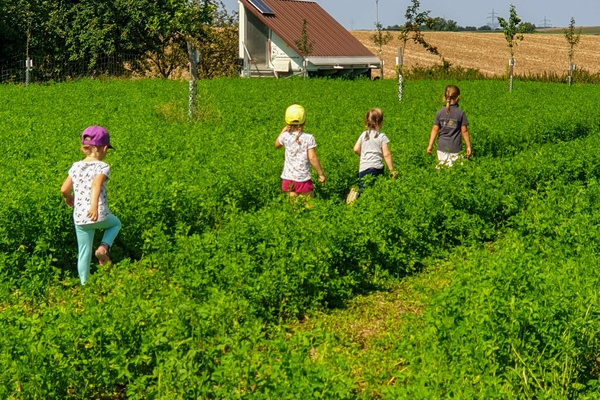 Landwirtschaft Michael Hauecker